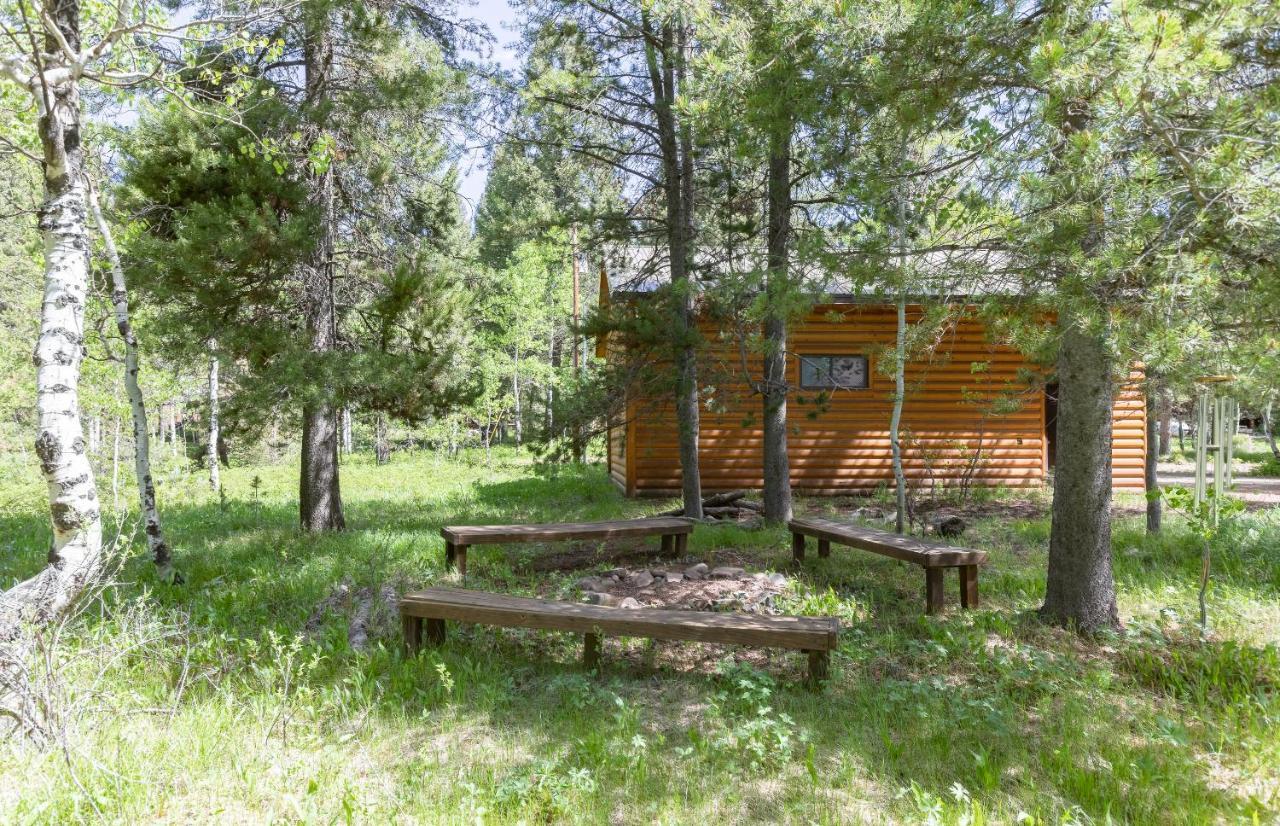 Remington Reload By Kabino Hot Tub Firepit Roku Big Yard Driveway Grill Wifi Trails Island Park Buitenkant foto